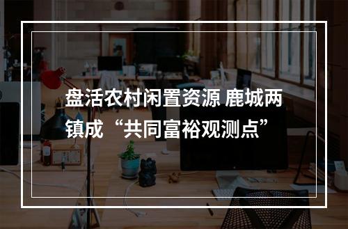 盘活农村闲置资源 鹿城两镇成“共同富裕观测点”