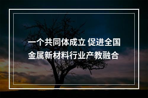 一个共同体成立 促进全国金属新材料行业产教融合