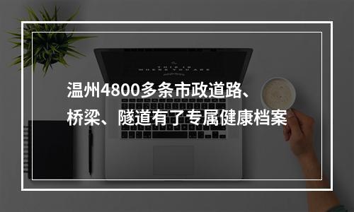 温州4800多条市政道路、桥梁、隧道有了专属健康档案