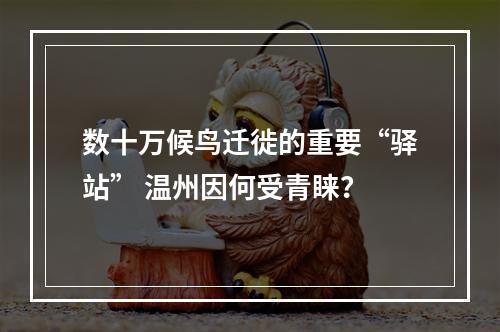 数十万候鸟迁徙的重要“驿站” 温州因何受青睐？