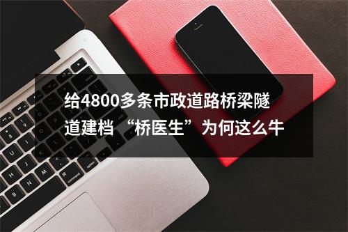 给4800多条市政道路桥梁隧道建档 “桥医生”为何这么牛