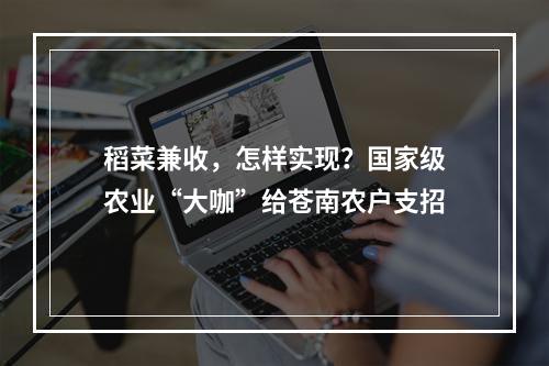 稻菜兼收，怎样实现？国家级农业“大咖”给苍南农户支招