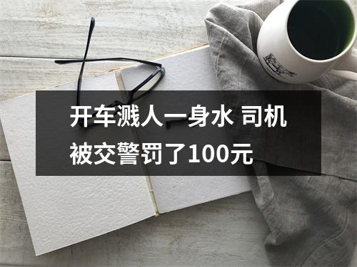 开车溅人一身水 司机被交警罚了100元