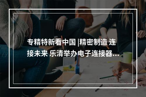 专精特新看中国 |精密制造 连接未来 乐清举办电子连接器产业创新发展大会