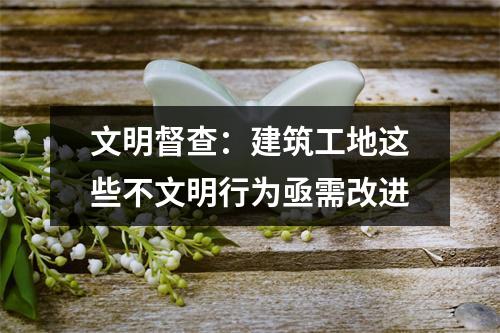 文明督查：建筑工地这些不文明行为亟需改进