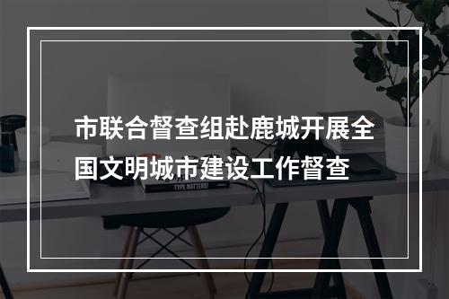 市联合督查组赴鹿城开展全国文明城市建设工作督查