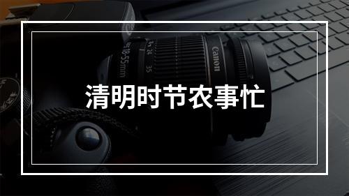 清明时节农事忙