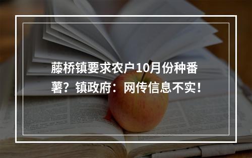 藤桥镇要求农户10月份种番薯？镇政府：网传信息不实！