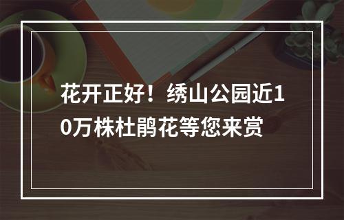 花开正好！绣山公园近10万株杜鹃花等您来赏