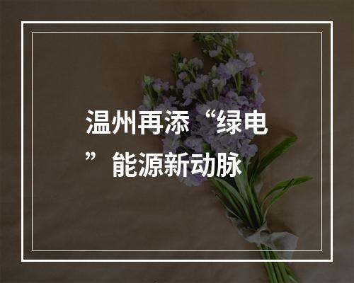 温州再添“绿电”能源新动脉