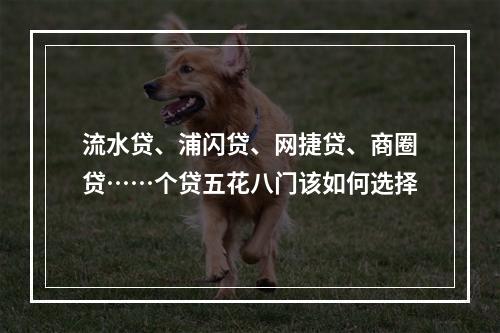流水贷、浦闪贷、网捷贷、商圈贷……个贷五花八门该如何选择