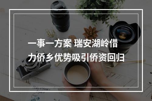 一事一方案 瑞安湖岭借力侨乡优势吸引侨资回归