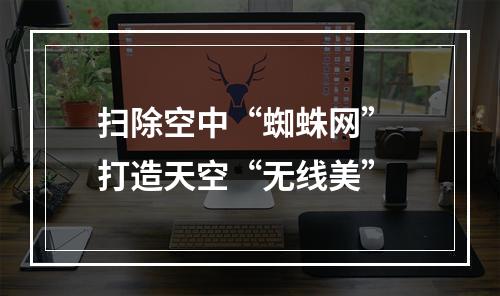 扫除空中“蜘蛛网” 打造天空“无线美”
