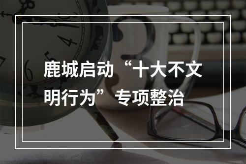 鹿城启动“十大不文明行为”专项整治