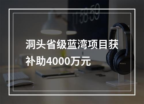 洞头省级蓝湾项目获补助4000万元