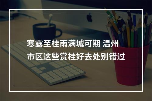 寒露至桂雨满城可期 温州市区这些赏桂好去处别错过