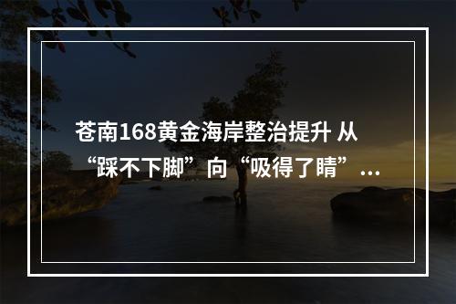 苍南168黄金海岸整治提升 从“踩不下脚”向“吸得了睛”转变