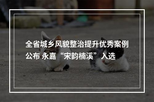 全省城乡风貌整治提升优秀案例公布 永嘉“宋韵楠溪”入选