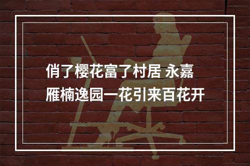 俏了樱花富了村居 永嘉雁楠逸园一花引来百花开