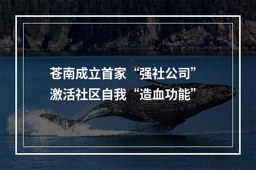 苍南成立首家“强社公司” 激活社区自我“造血功能”