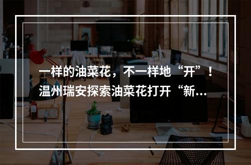 一样的油菜花，不一样地“开”！温州瑞安探索油菜花打开“新方式”