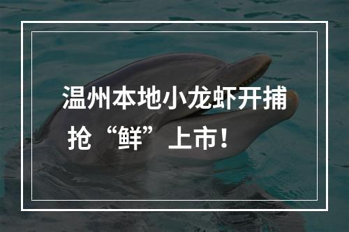 温州本地小龙虾开捕 抢“鲜”上市！
