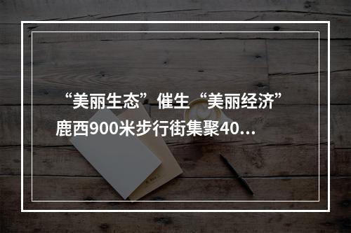 “美丽生态”催生“美丽经济” 鹿西900米步行街集聚40多家民宿