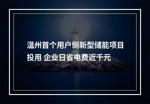 温州首个用户侧新型储能项目投用 企业日省电费近千元