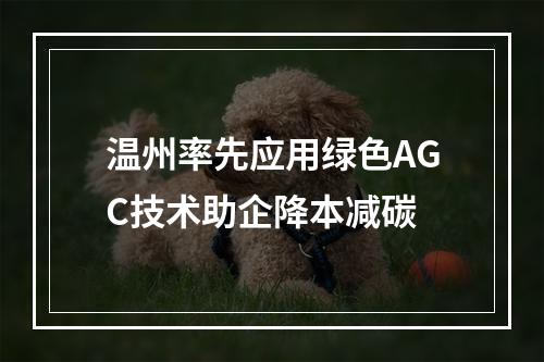 温州率先应用绿色AGC技术助企降本减碳