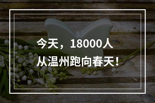 今天，18000人从温州跑向春天！