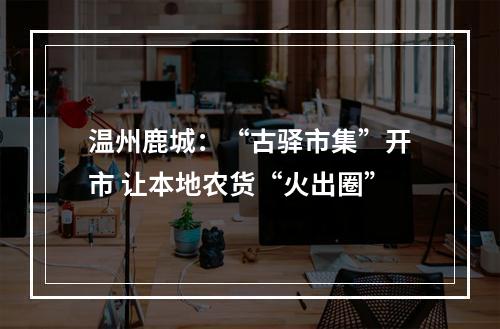温州鹿城：“古驿市集”开市 让本地农货“火出圈”