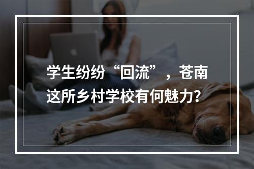 学生纷纷“回流”，苍南这所乡村学校有何魅力？