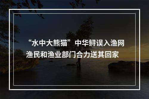 “水中大熊猫”中华鲟误入渔网 渔民和渔业部门合力送其回家