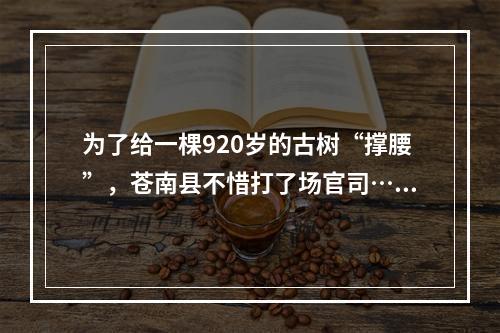 为了给一棵920岁的古树“撑腰”，苍南县不惜打了场官司……