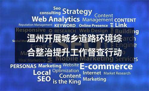 温州开展城乡道路环境综合整治提升工作督查行动