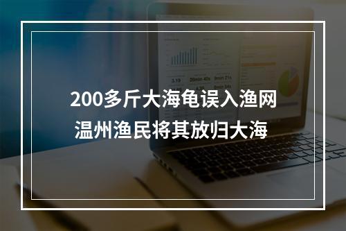 200多斤大海龟误入渔网 温州渔民将其放归大海