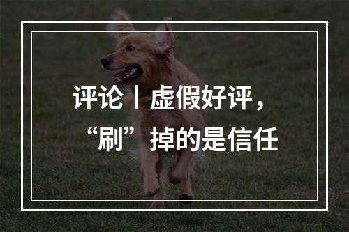 评论丨虚假好评，“刷”掉的是信任