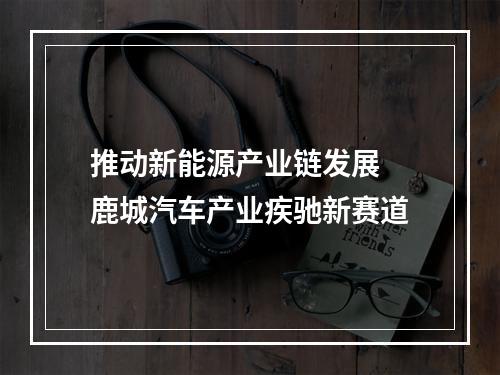 推动新能源产业链发展 鹿城汽车产业疾驰新赛道