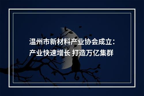 温州市新材料产业协会成立：产业快速增长 打造万亿集群