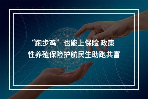 “跑步鸡”也能上保险 政策性养殖保险护航民生助跑共富