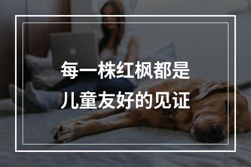 每一株红枫都是儿童友好的见证