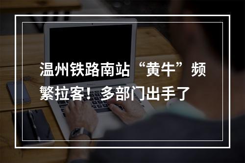 温州铁路南站“黄牛”频繁拉客！多部门出手了