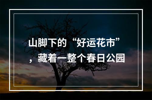 山脚下的“好运花市”，藏着一整个春日公园