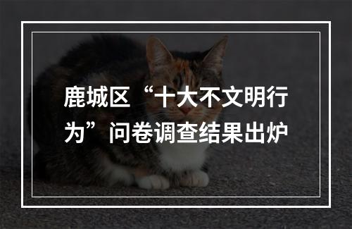 鹿城区“十大不文明行为”问卷调查结果出炉