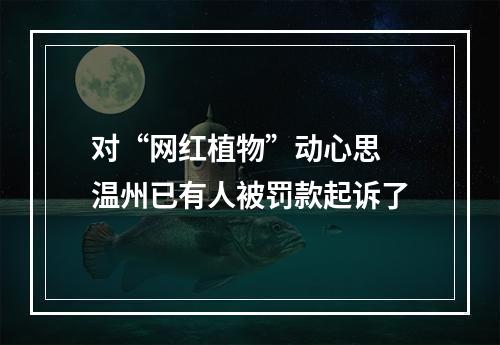 对“网红植物”动心思 温州已有人被罚款起诉了