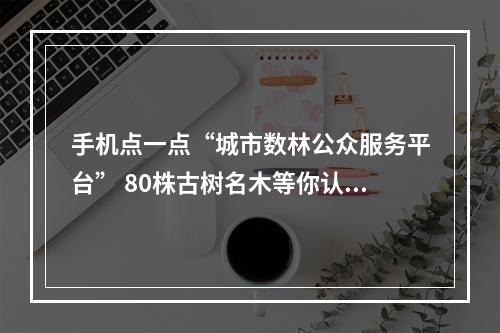 手机点一点“城市数林公众服务平台” 80株古树名木等你认养