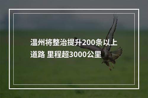 温州将整治提升200条以上道路 里程超3000公里