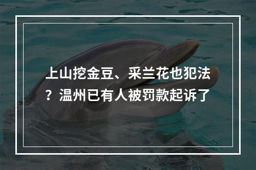 上山挖金豆、采兰花也犯法？温州已有人被罚款起诉了