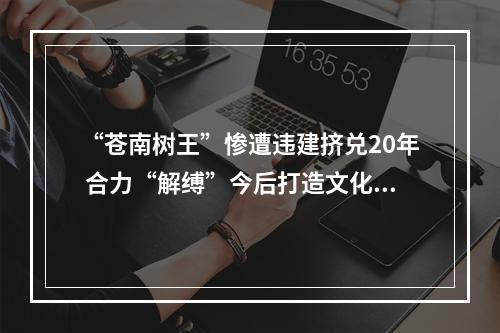 “苍南树王”惨遭违建挤兑20年 合力“解缚”今后打造文化公园