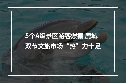 5个A级景区游客爆棚 鹿城双节文旅市场“热”力十足